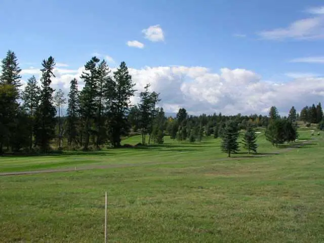 108 Golden Bear Drive, Bigfork, MT 59911 - #3