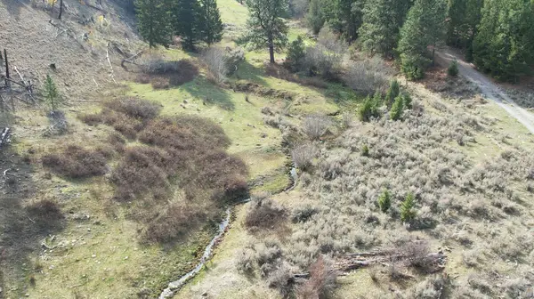 1 Tract, Bull Elk, Drummond, MT 59832