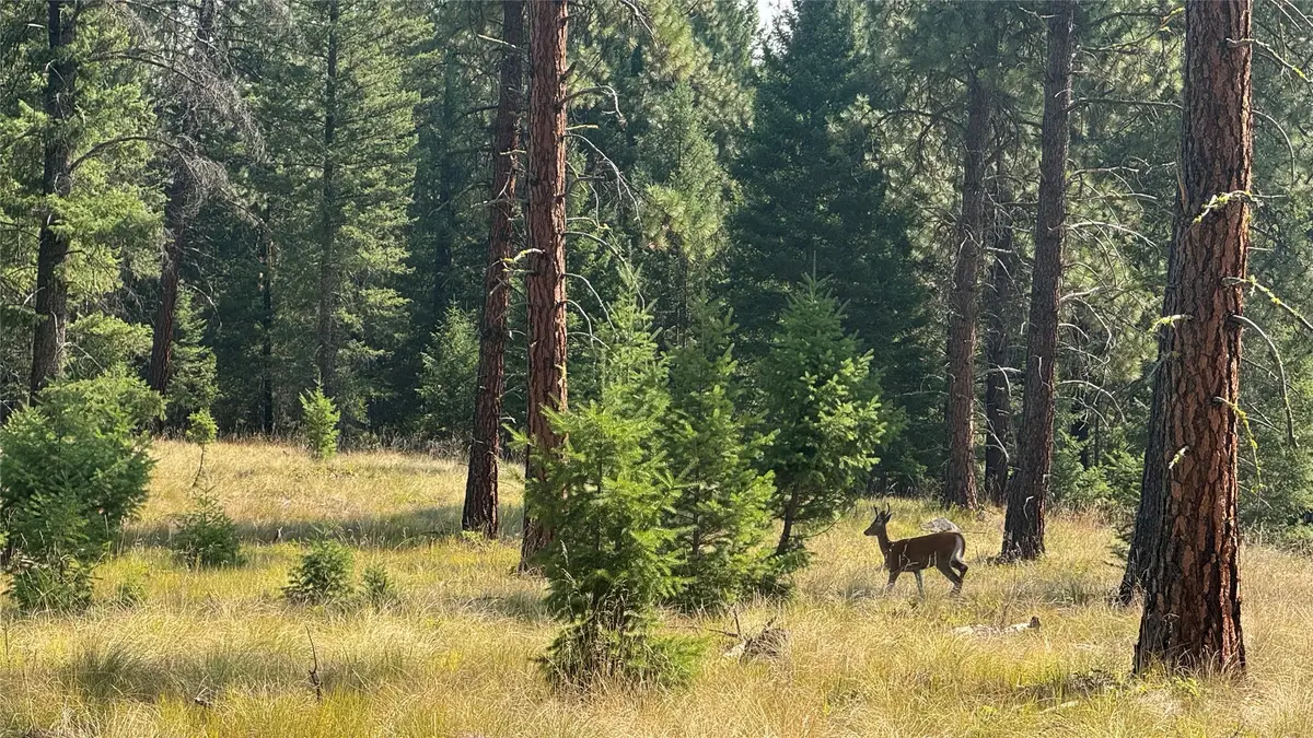 NHN Hwy 37, Libby, MT 59923 - #1