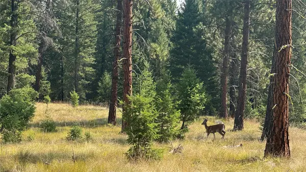 NHN Hwy 37, Libby, MT 59923