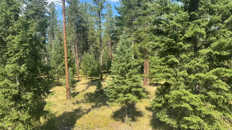 NHN Hwy 37, Libby, MT 59923 - #3