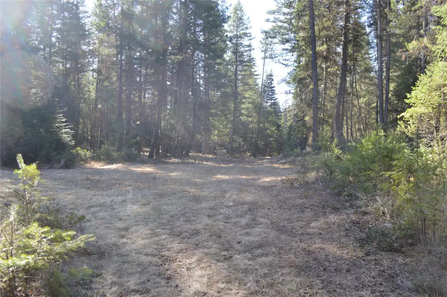 772 Rifle Range Road, Whitefish, MT 59937 - #3