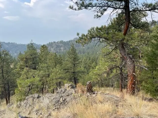 TBD Mountain Home Lane, Cascade, MT 59421 - #3