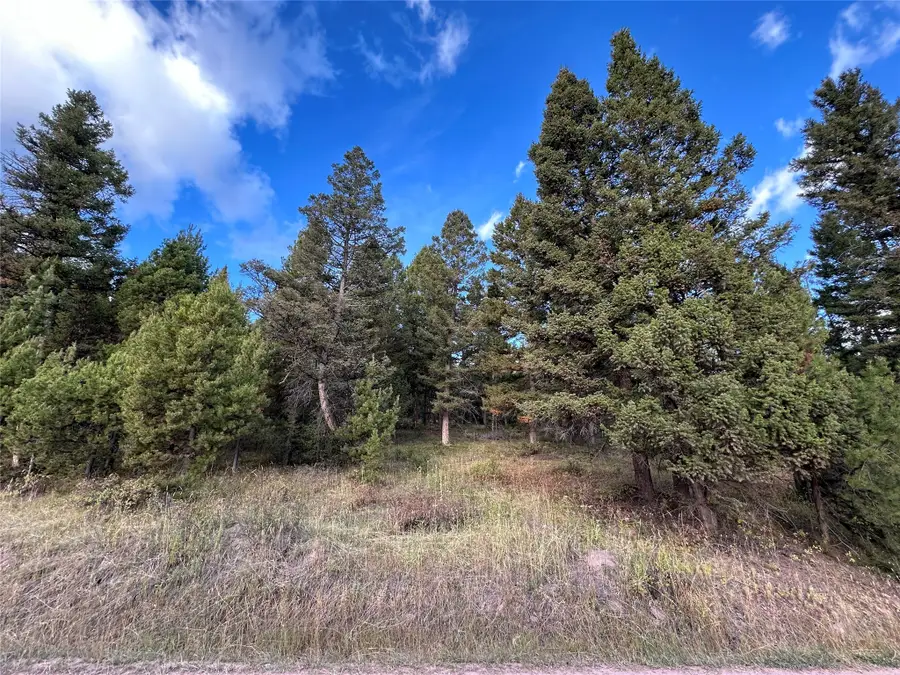 Lot 10 Black Pine Meadows Subdivision, Philipsburg, MT 59858 - #2