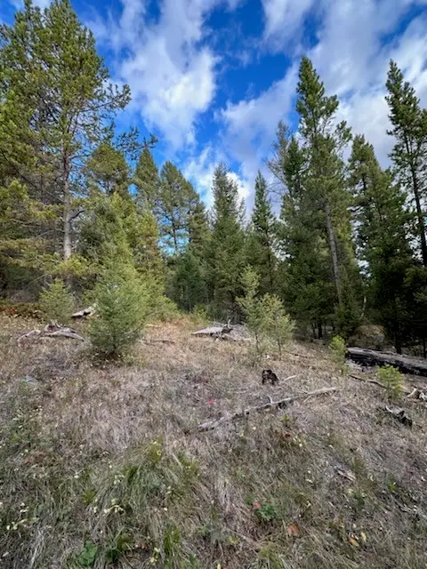 Lot 10 Black Pine Meadows Subdivision, Philipsburg, MT 59858 - #3