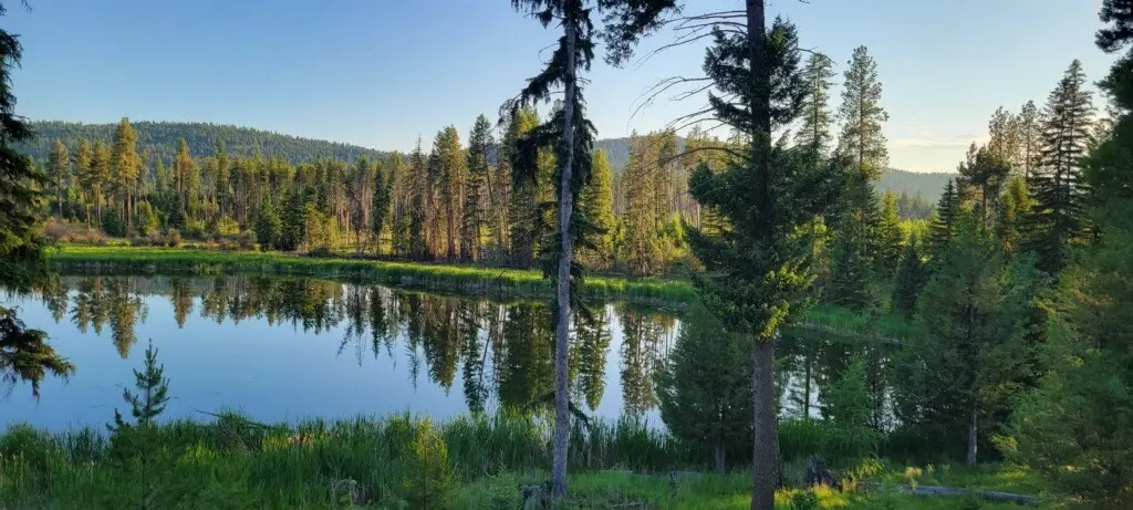 281 Daisy Lane, Seeley Lake, MT 59868 - #1