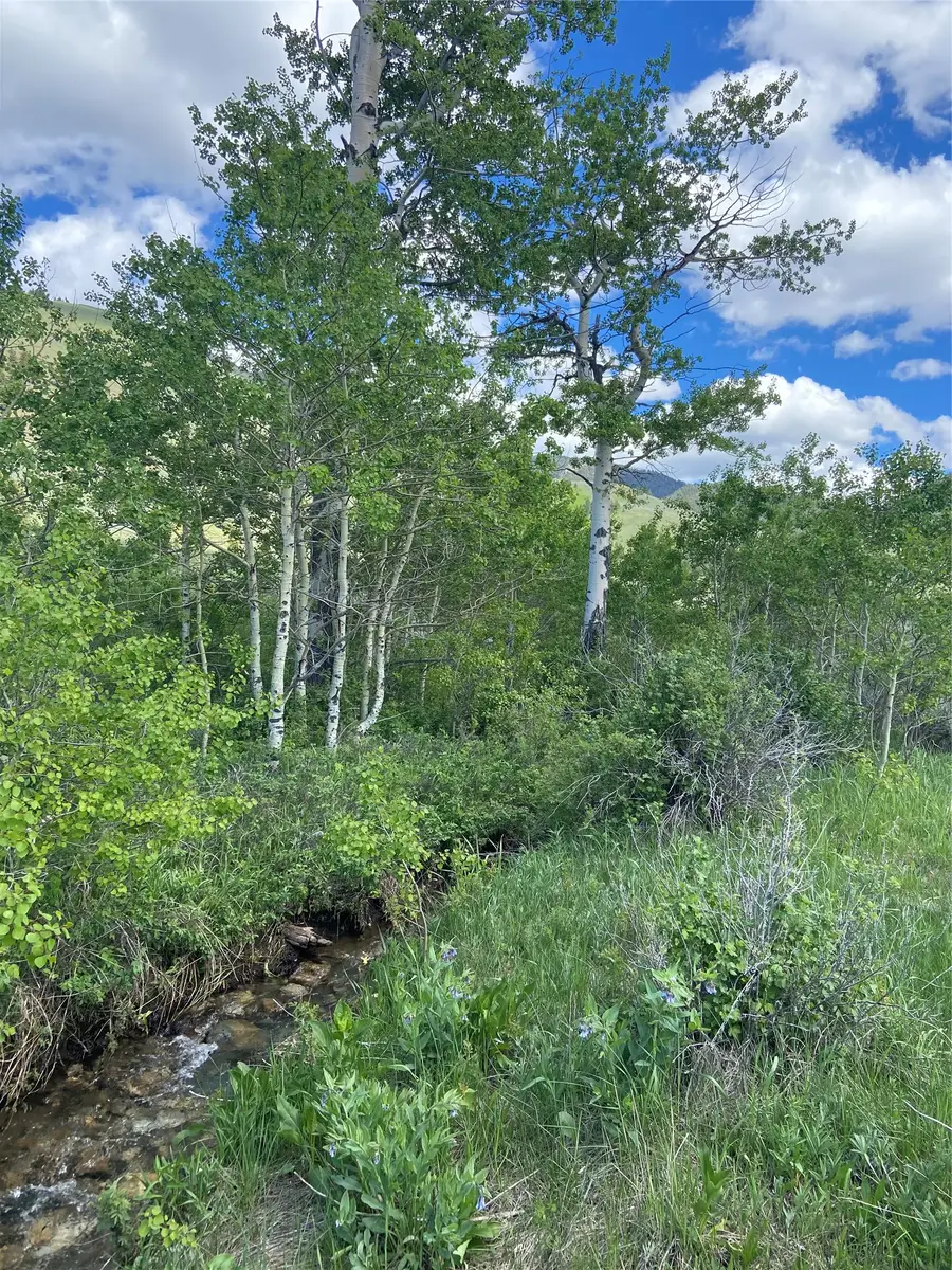 15 Torry Road, Cameron, MT 59720 - #2