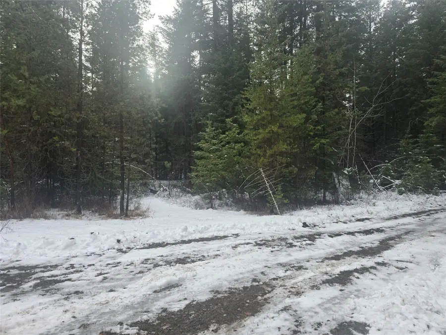 769 Lower Seven Mile Creek Road, Saint Regis, MT 59866 - #2