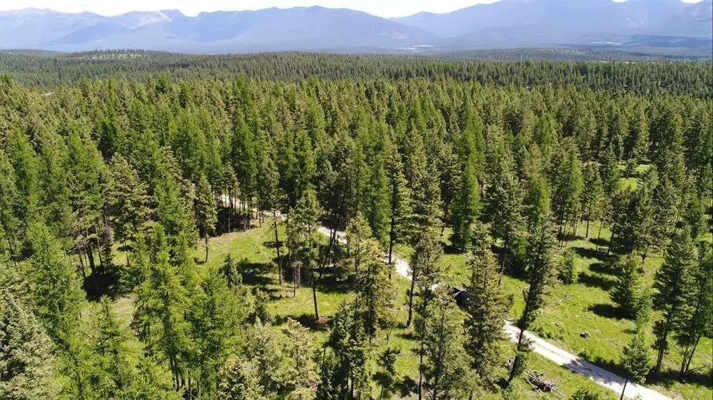 Lot 2 Meadow Springs, Fortine, MT 59918 - #1