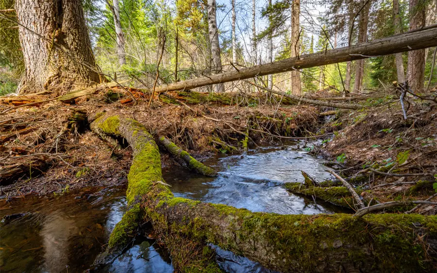 4689 Mcginnis Meadows Road, Libby, MT 59923 - #3