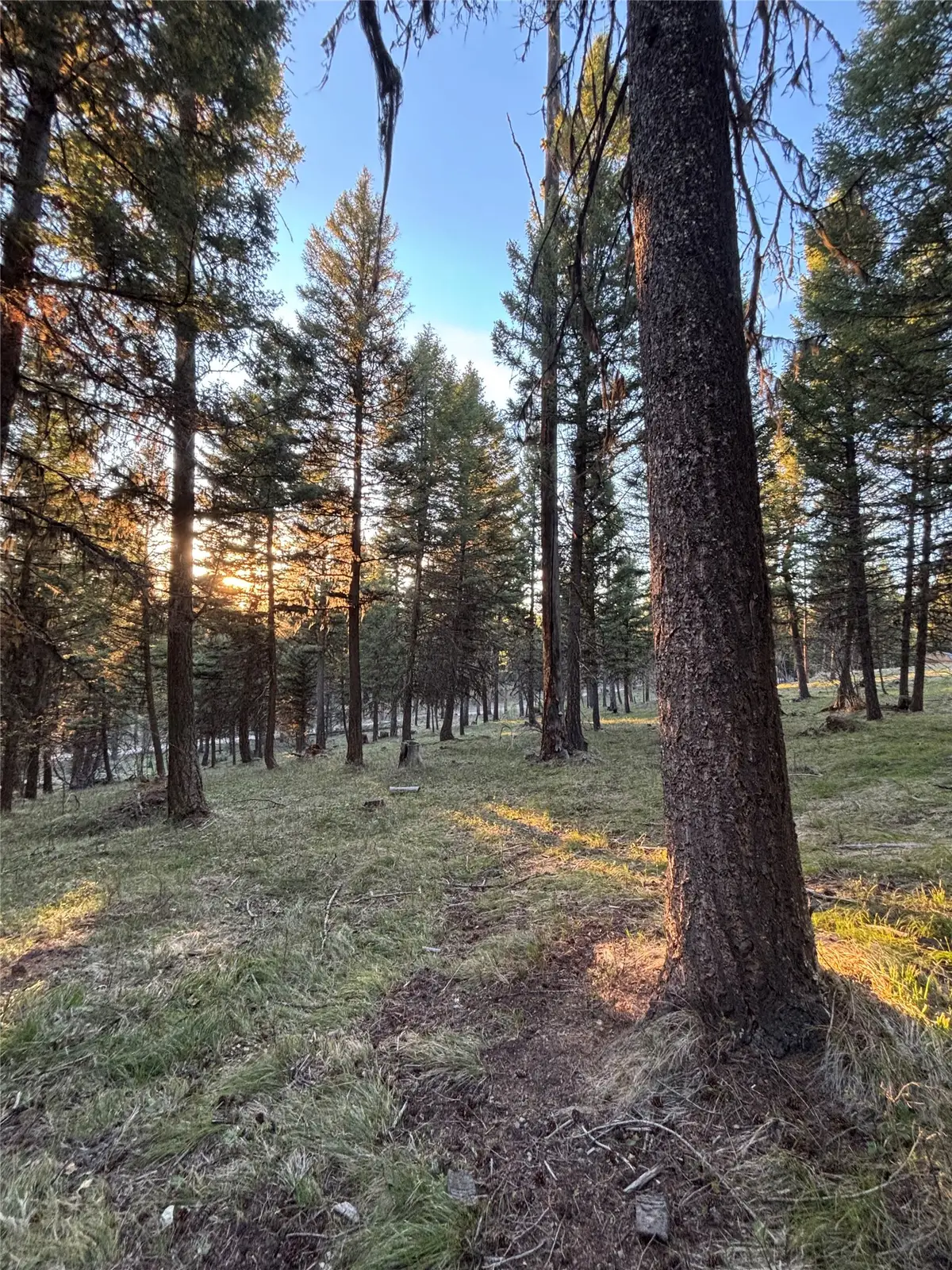 139 Montana View Drive, Seeley Lake, MT 59868 - #1