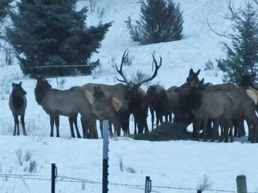 900 Flint Creek Road, Ramsay, MT 59748 - #2