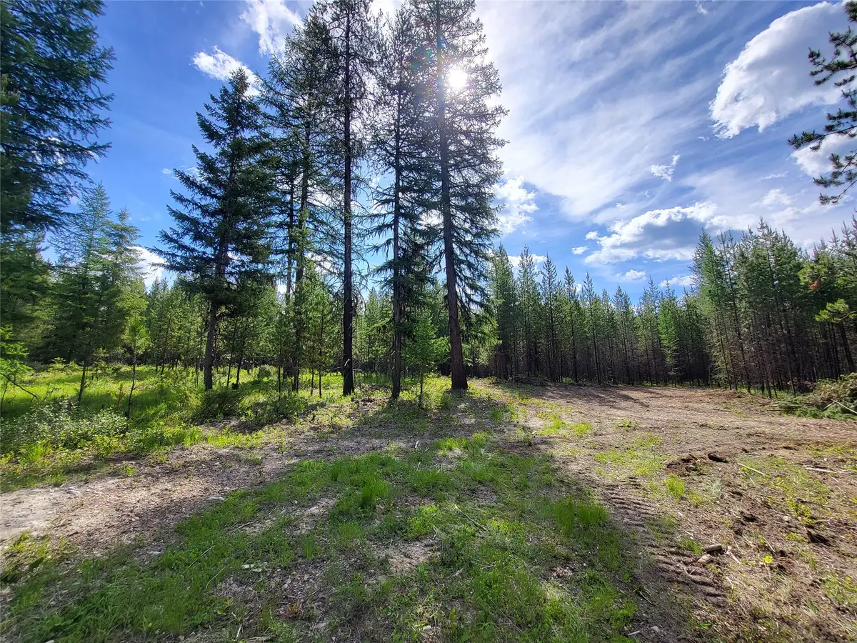 34388 Shay Lake Road, Bigfork, MT 59911 - #1