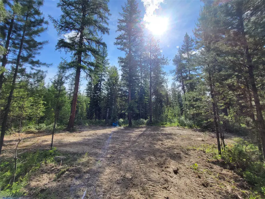 34388 Shay Lake Road, Bigfork, MT 59911 - #3