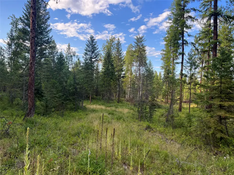 TBD Granite Lake Road, Libby, MT 59923 - #2