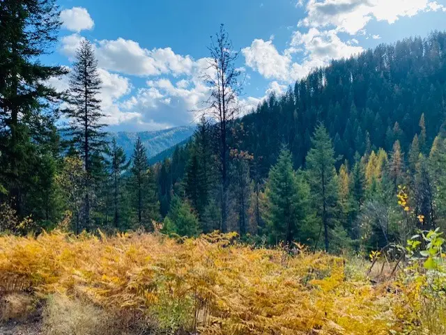 Nhn Pilgrim Creek Road, Noxon, MT 59853 - #2