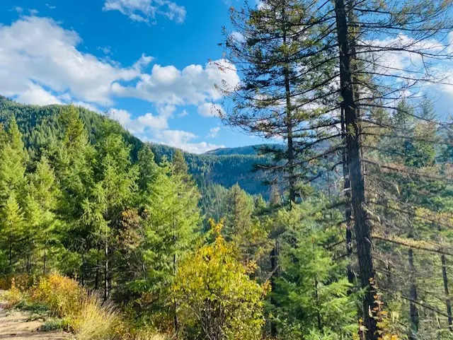 Nhn Pilgrim Creek Road, Noxon, MT 59853 - #3