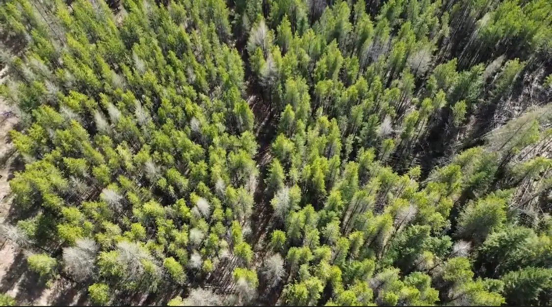 NHN Iron Horse Road, Trego, MT 59934 - #1