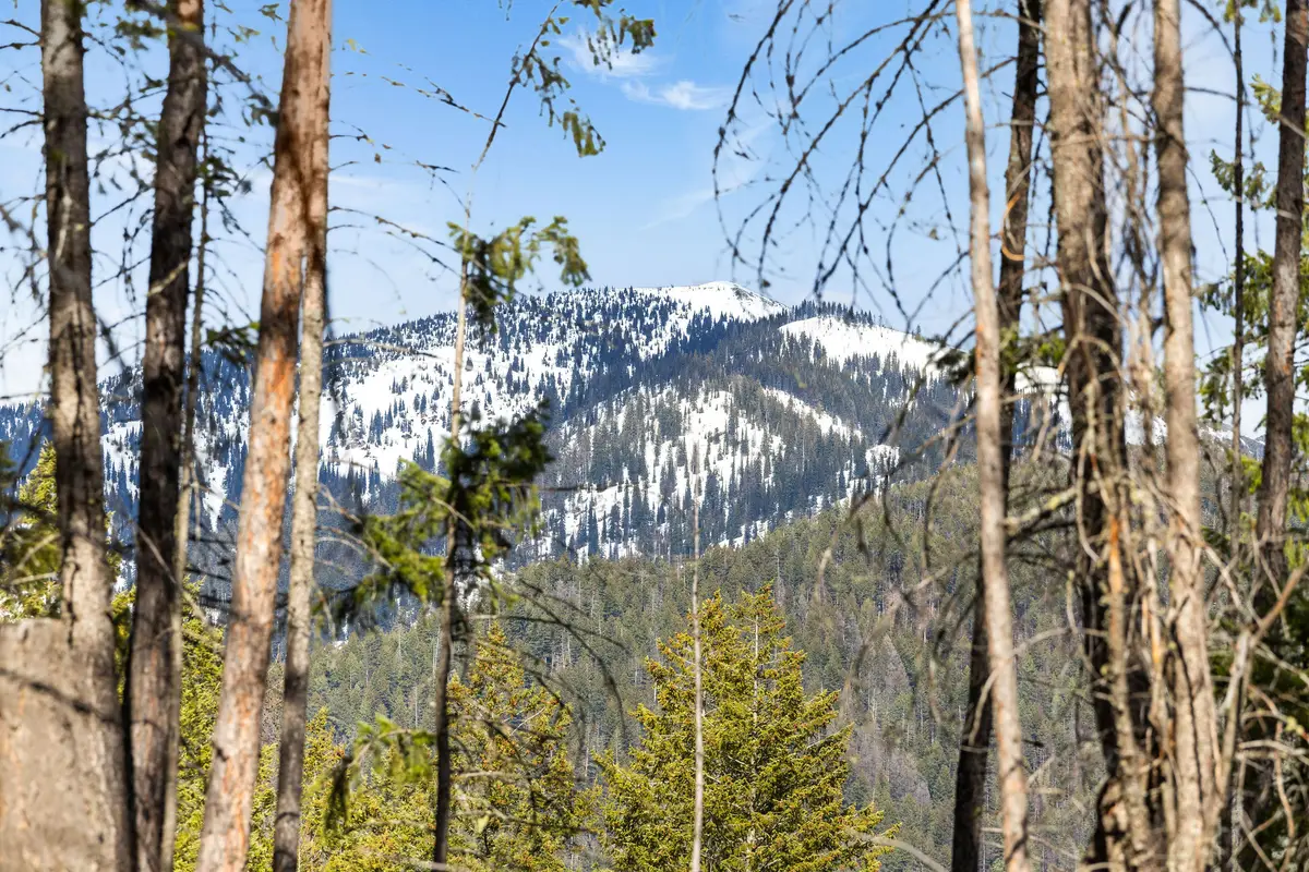 310 Rolling Ridge Drive, Kalispell, MT 59901 - #1