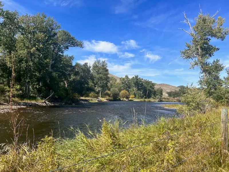 263 W Bovine Way, Melrose, MT 59743 - #3