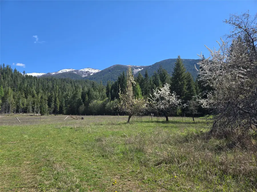 8 Dead Horse Lane, Heron, MT 59844 - #2