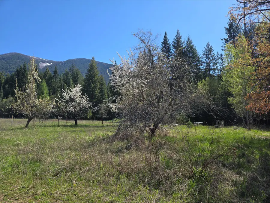 8 Dead Horse Lane, Heron, MT 59844 - #3