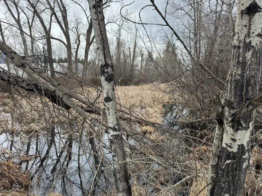 NHN Two Moons Road, Florence, MT 59833 - #2