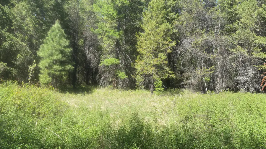 110 Verna Court, Libby, MT 59923 - #3