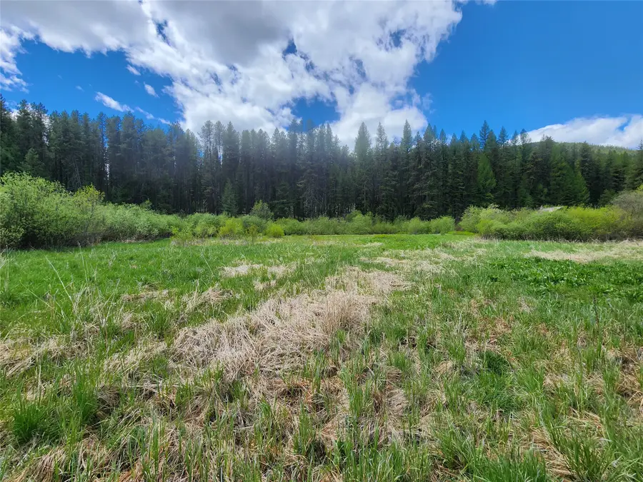 Nhn N Fork Yaak Road, Yaak, MT 59935 - #3