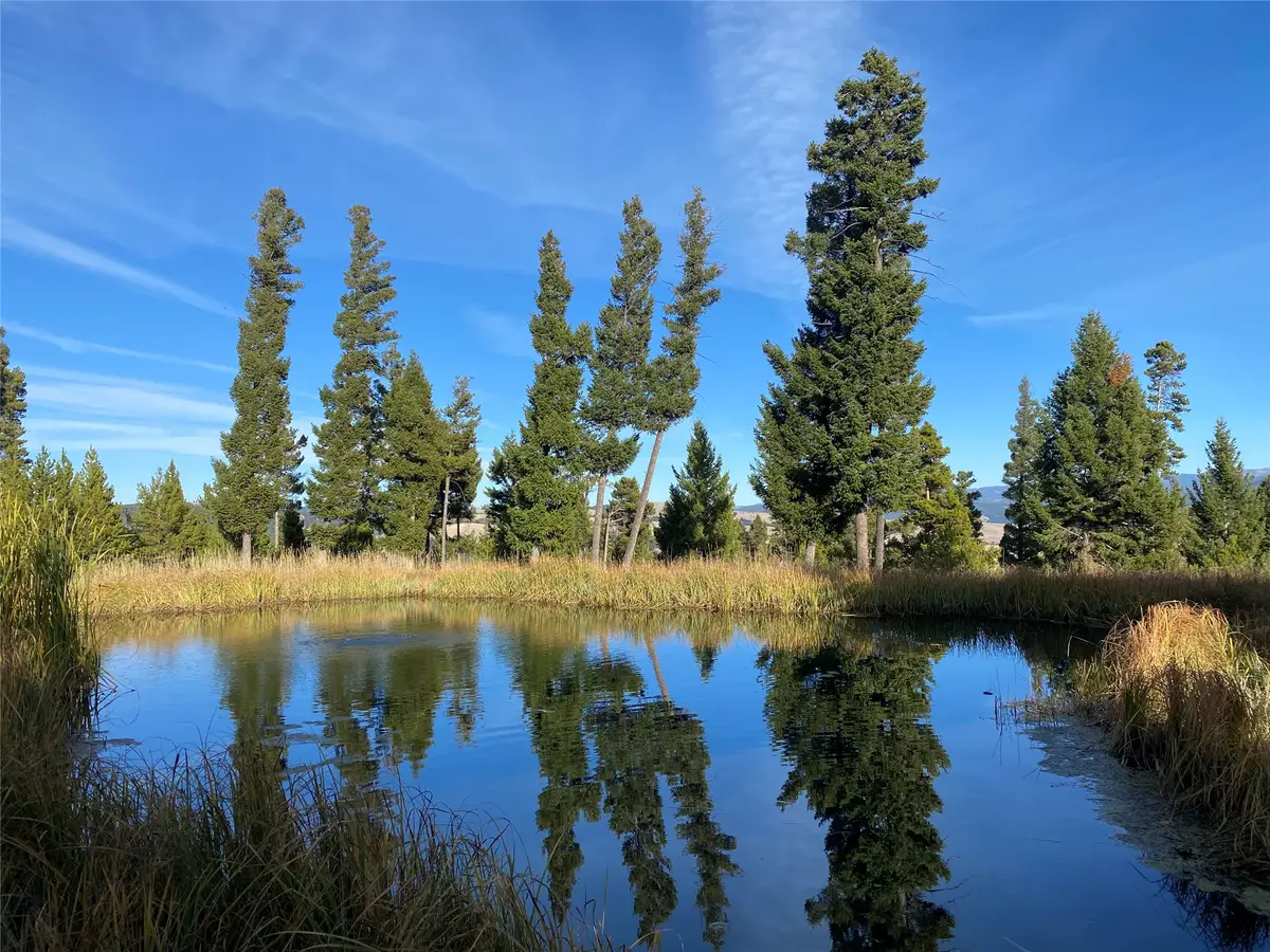 42 Grey Owl Road, Philipsburg, MT 59858 - #1