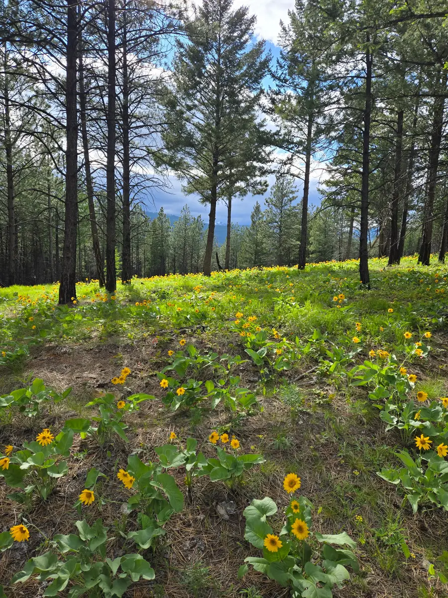 nka Tooley Creek Road, Rexford, MT 59930 - #3