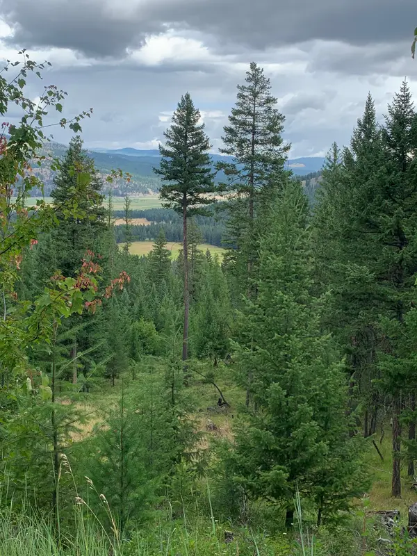 Tract 11 Whitetail Ridge, Kila, MT 59920