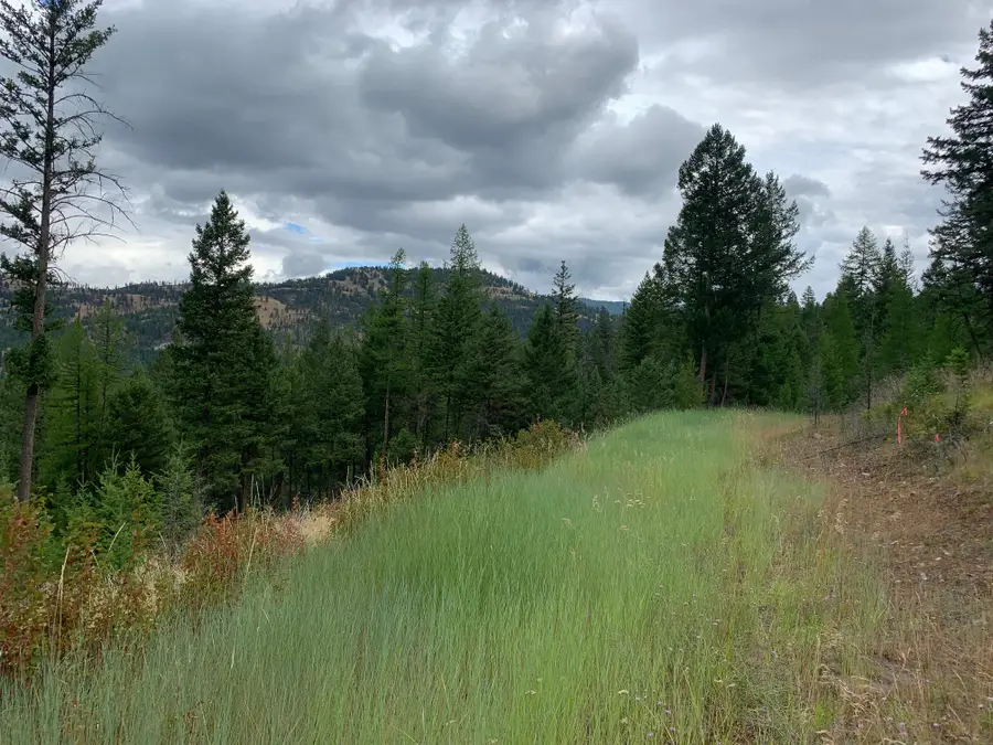 Tract 11 Whitetail Ridge, Kila, MT 59920 - #2