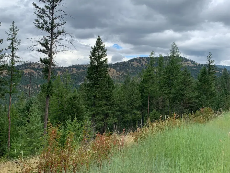 Tract 11 Whitetail Ridge, Kila, MT 59920 - #3