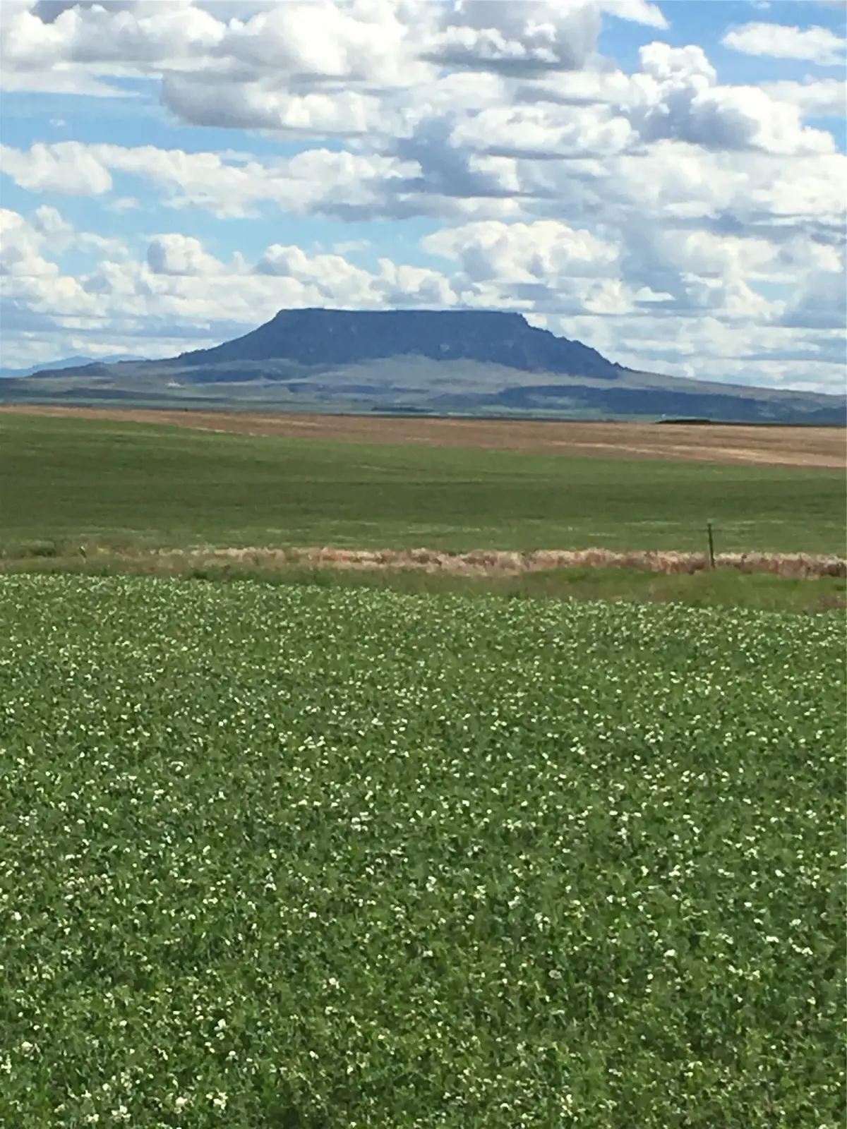 UKN Flat Creek Road, Geraldine, MT 59446 - #1