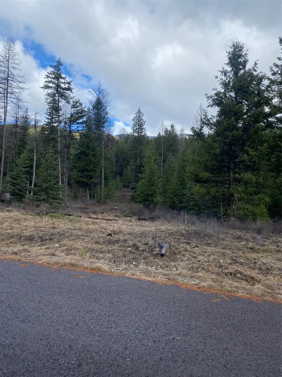 134 Conley Court, Kila, MT 59920 - #3