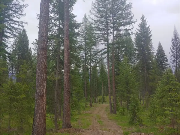 NHN Off Styler Drive, Condon, MT 59826