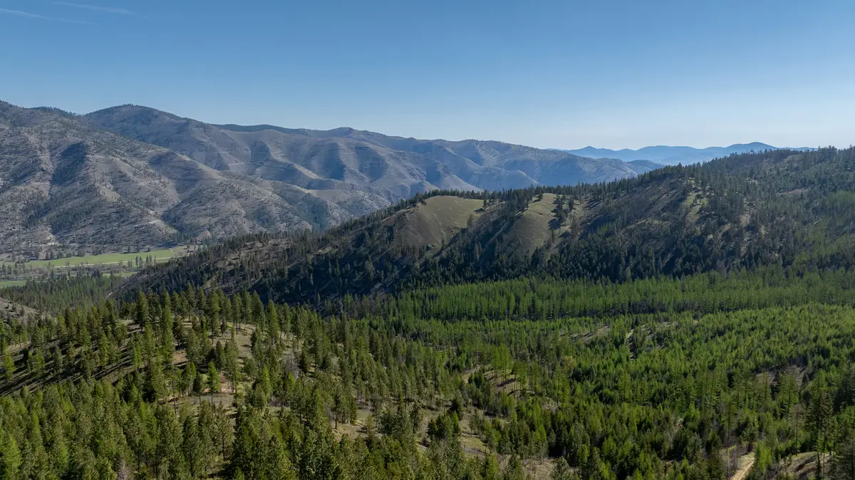 Lolo Peak Shadows, Lolo, MT 59847 - #1
