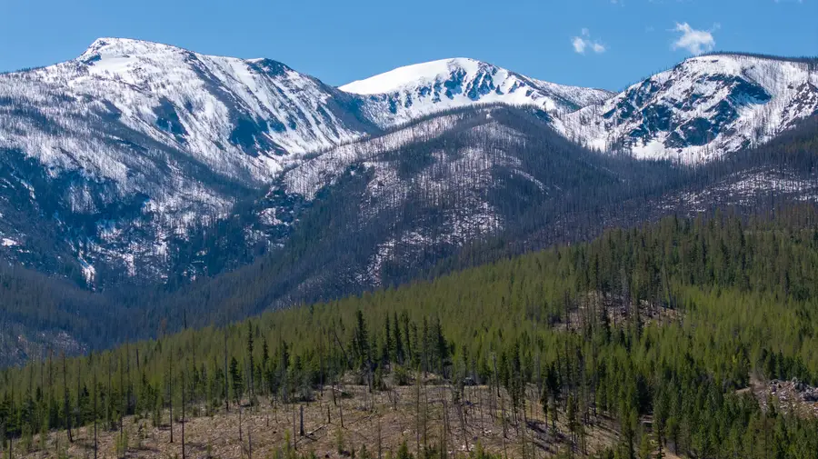 Lolo Peak Shadows, Lolo, MT 59847 - #2
