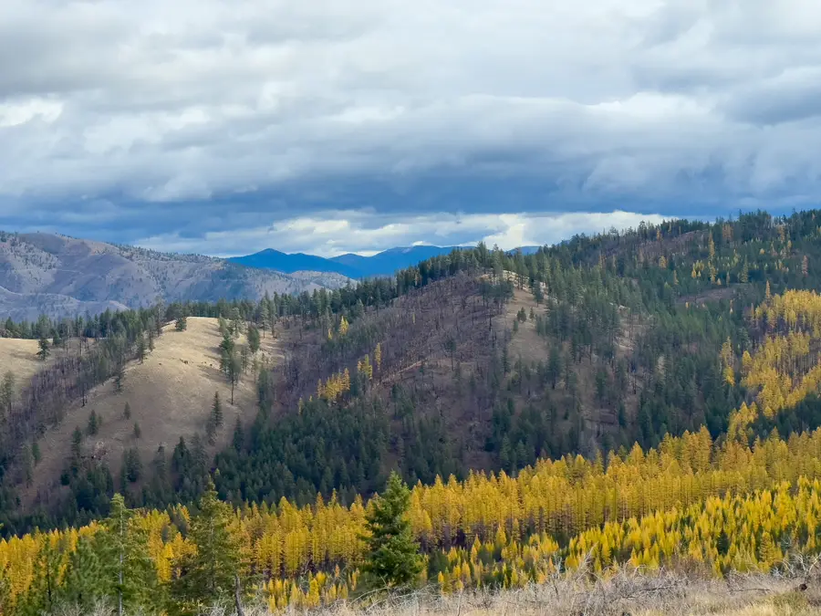 Lolo Peak Shadows, Lolo, MT 59847 - #3