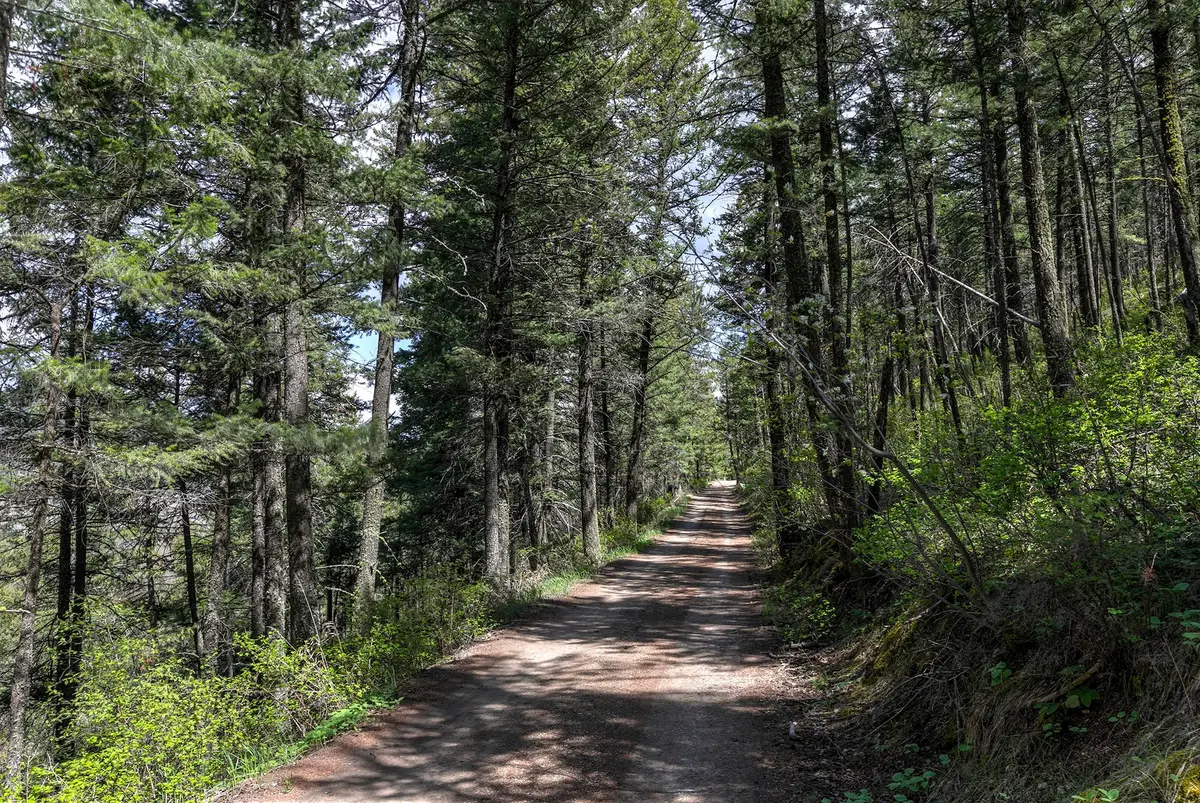 13275 Balsamroot Road, Lolo, MT 59847 - #1