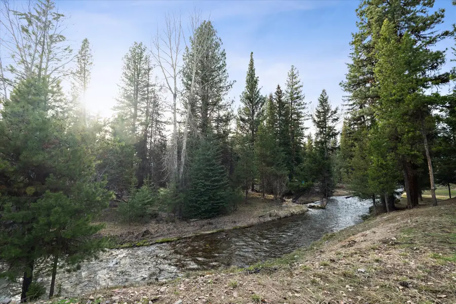 385 Black Bear Drive, Seeley Lake, MT 59868 - #3