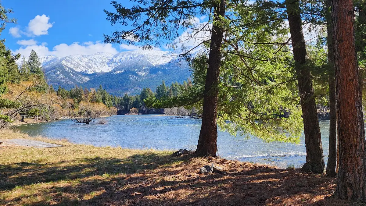 12448 Rippling Waters Road, Bigfork, MT 59911 - #1