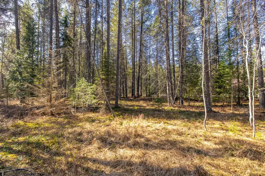 NHN Rabe Road, Columbia Falls, MT 59912 - #3