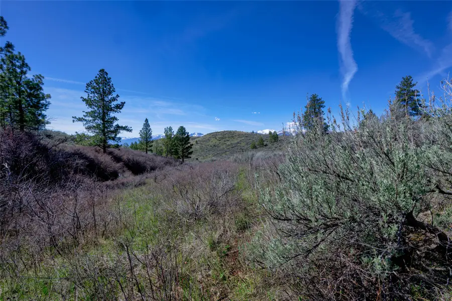 Lot 10 Sapphire Ridge, Florence, MT 59833 - #3