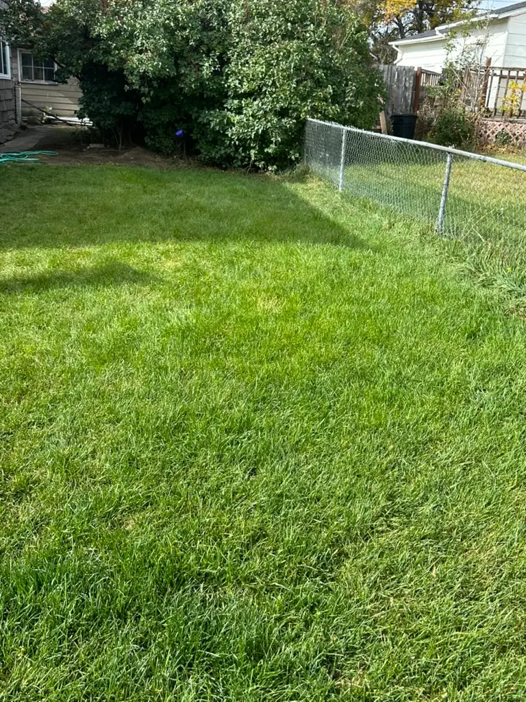 1021 S Wyoming Street, Butte, MT 59701 - #3