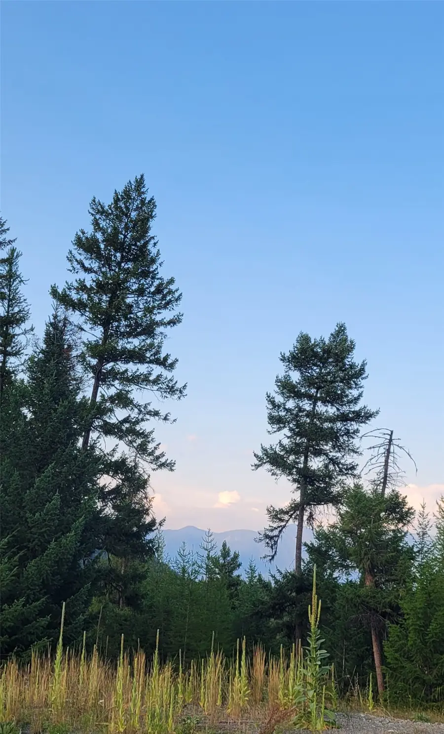 Lot 9 Angus Drive, Rexford, MT 59930 - #3