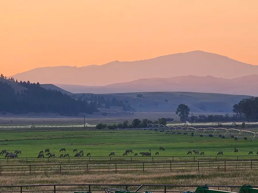 198 Mullan Trail Road, Gold Creek, MT 59733 - #2