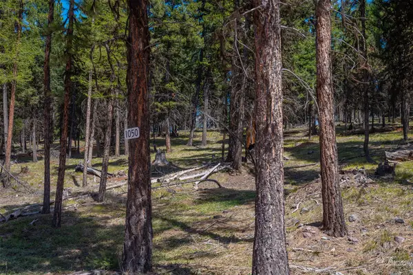 1050 Grandview Drive, Seeley Lake, MT 59868