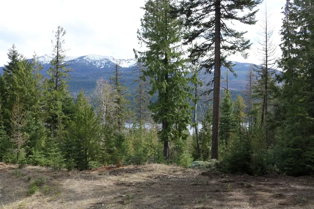 NHN Into The Woods Trail, Bigfork, MT 59911 - #1
